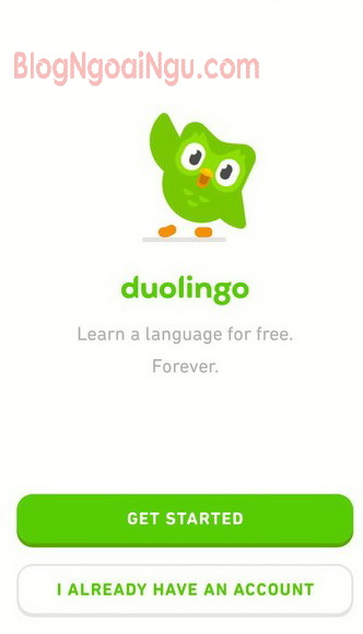 Duolingo có tốt không?